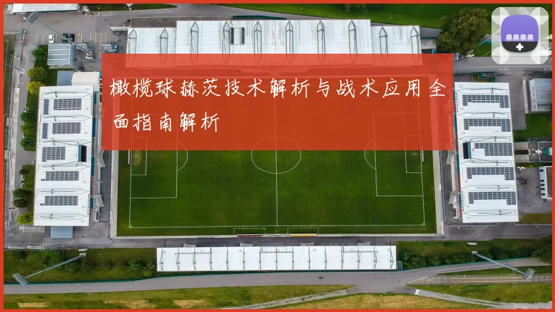 橄榄球赫茨技术解析与战术应用全面指南解析
