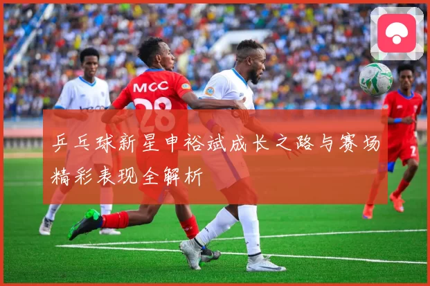 乒乓球新星申裕斌成长之路与赛场精彩表现全解析