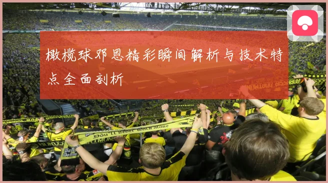 橄榄球邓恩精彩瞬间解析与技术特点全面剖析