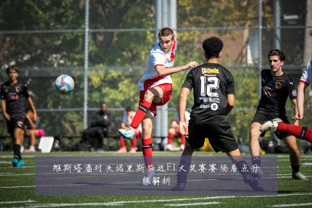 维斯塔潘对决诺里斯临近F1大奖赛赛场看点升级解析